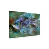 Trademark Fine Art RUNA 'Fish With Green Eyes' Canvas Art, 22x32 ALI21571-C2232GG